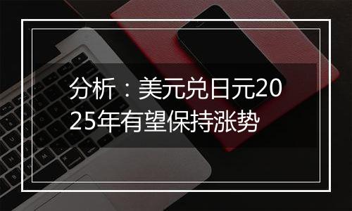 分析:美元兑日元2025年有望保持涨势