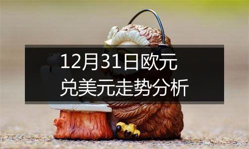 12月31日欧元兑美元走势分析