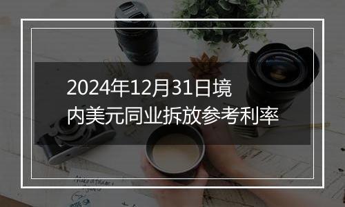 2024年12月31日境内美元同业拆放参考利率