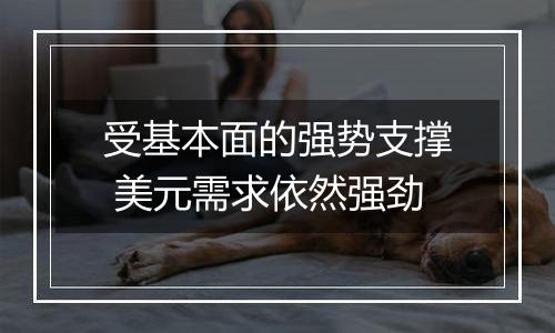 受基本面的强势支撑 美元需求依然强劲