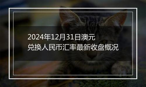 2024年12月31日澳元兑换人民币汇率最新收盘概况