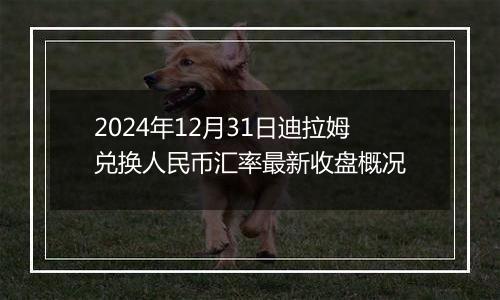 2024年12月31日迪拉姆兑换人民币汇率最新收盘概况