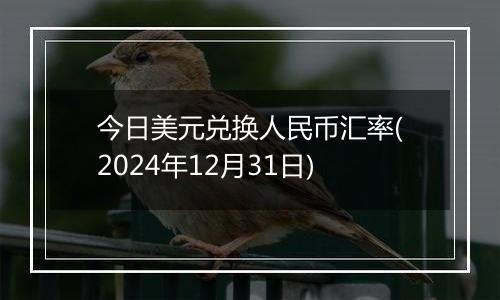 今日美元兑换人民币汇率(2024年12月31日)
