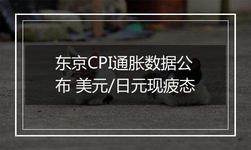 东京CPI通胀数据公布 美元/日元现疲态