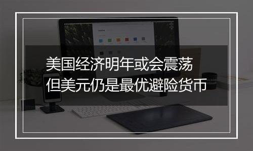 美国经济明年或会震荡 但美元仍是最优避险货币