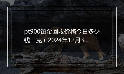 pt900铂金回收价格今日多少钱一克(2024年12月31日)