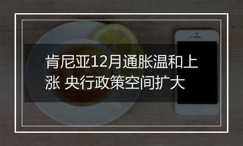 肯尼亚12月通胀温和上涨 央行政策空间扩大