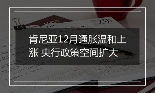 肯尼亚12月通胀温和上涨 央行政策空间扩大
