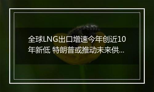 全球LNG出口增速今年创近10年新低 特朗普或推动未来供应增长