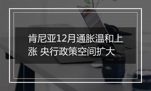 肯尼亚12月通胀温和上涨 央行政策空间扩大