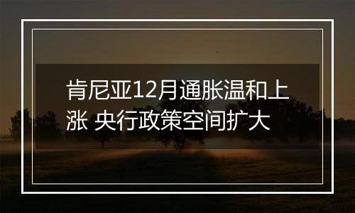 肯尼亚12月通胀温和上涨 央行政策空间扩大