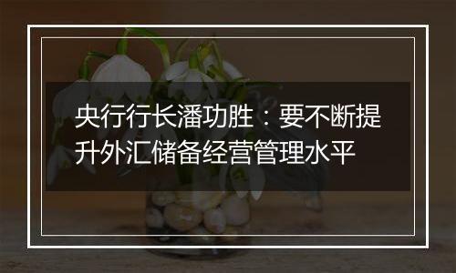 央行行长潘功胜:要不断提升外汇储备经营管理水平