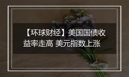 【环球财经】美国国债收益率走高 美元指数上涨