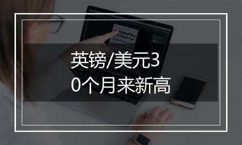 英镑/美元30个月来新高