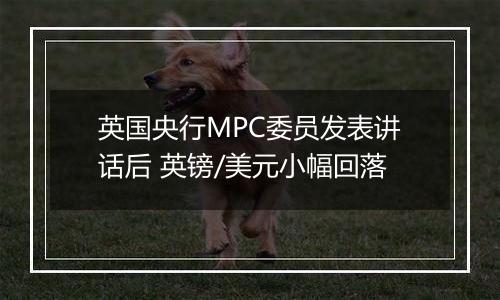 英国央行MPC委员发表讲话后 英镑/美元小幅回落