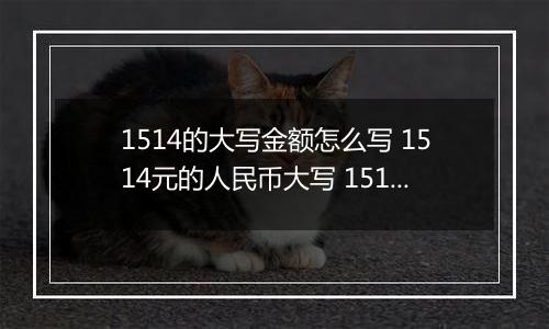 1514的大写金额怎么写 1514元的人民币大写 1514元的数字大写