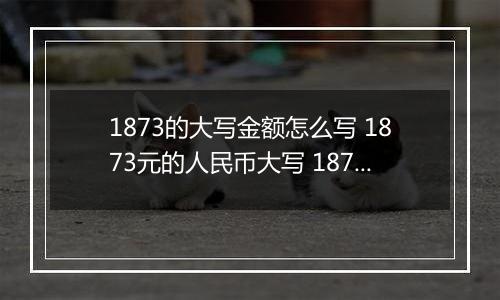 1873的大写金额怎么写 1873元的人民币大写 1873元的数字大写