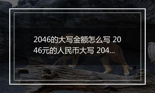 2046的大写金额怎么写 2046元的人民币大写 2046元的数字大写