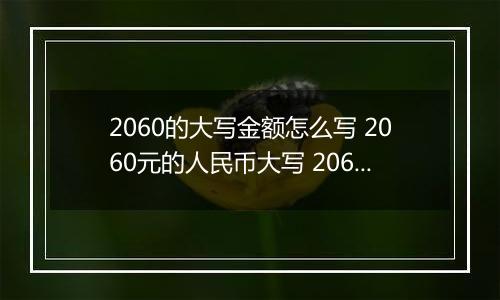 2060的大写金额怎么写 2060元的人民币大写 2060元的数字大写