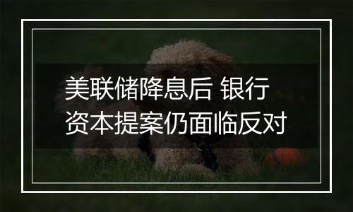 美联储降息后 银行资本提案仍面临反对